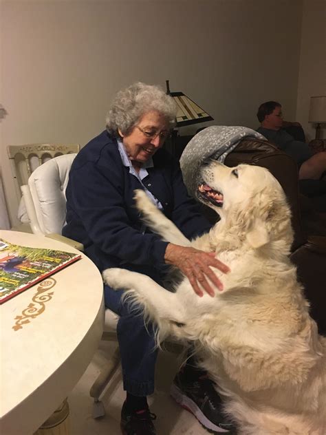 granny with dog sex